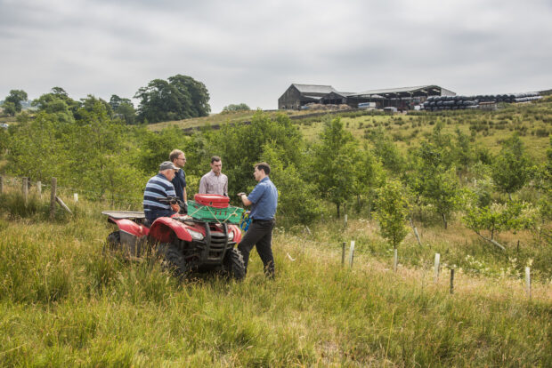 People chatting around a quad bike in a field of newly planted trees