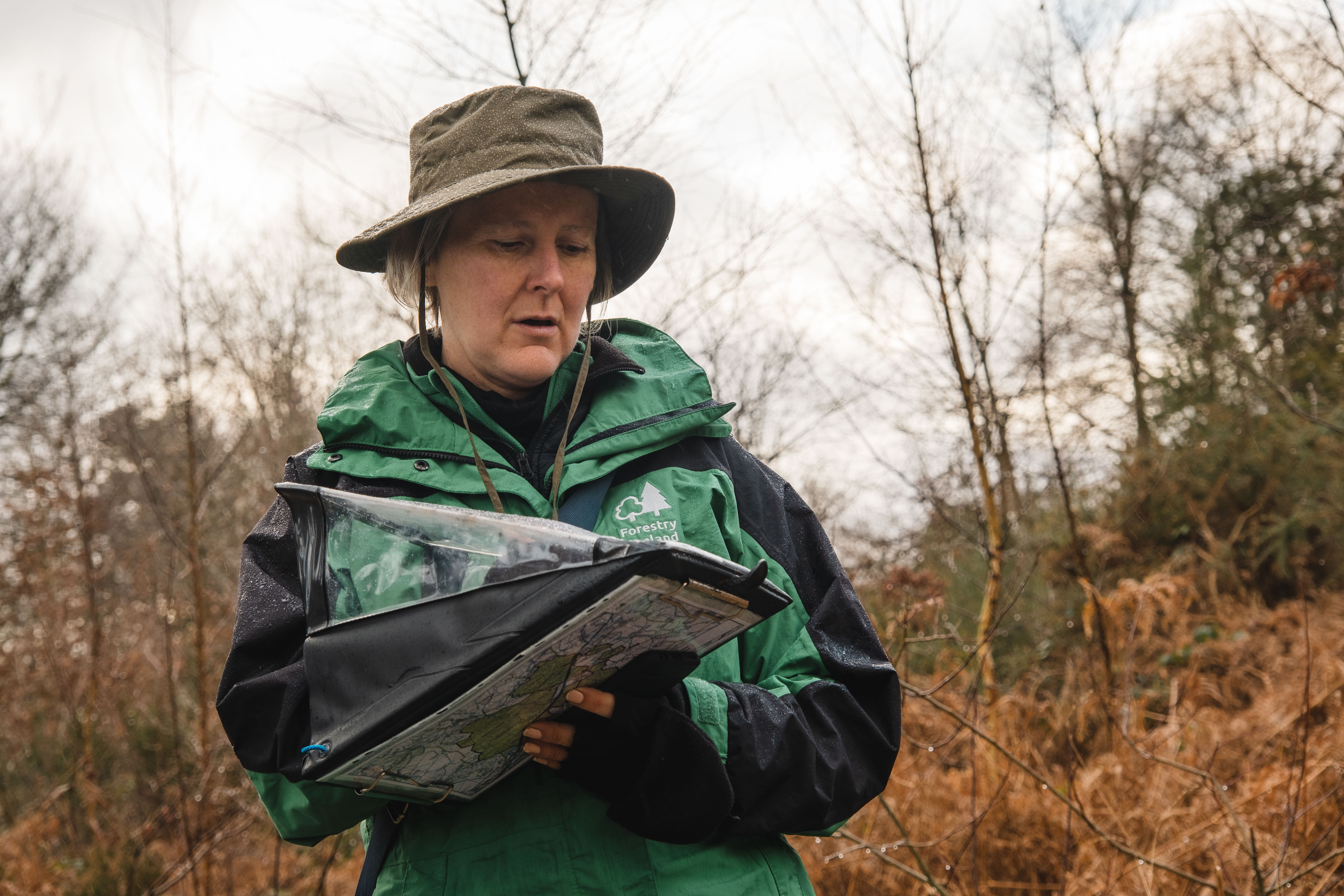 7 tips to help you change to a career in forestry – Forestry Commission
