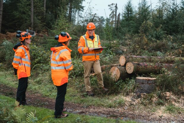 People in PPE working in a forest.