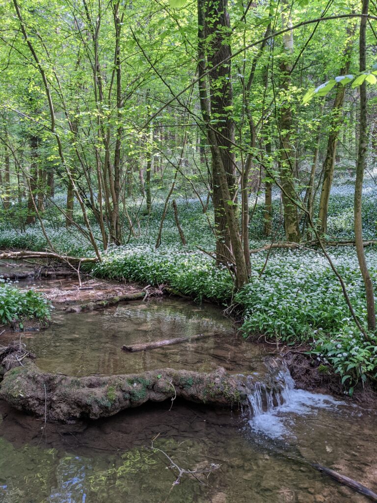 2025 Forestry Commission