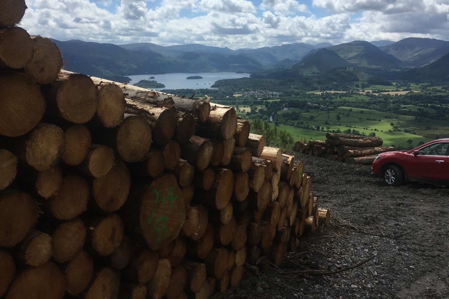 Forests And The Economy Supporting Jobs Livelihoods And Wellbeing 